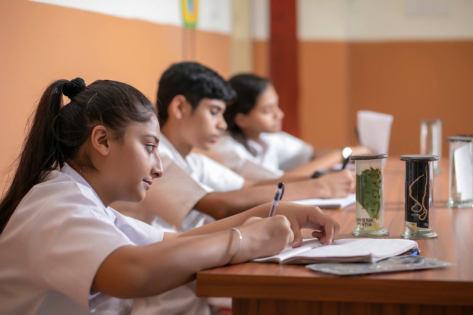 Harmony International School - Kharghar