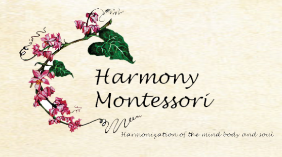 Harmony Montessori - Khar West