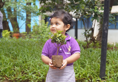 Kangaroo kids - Goregaon