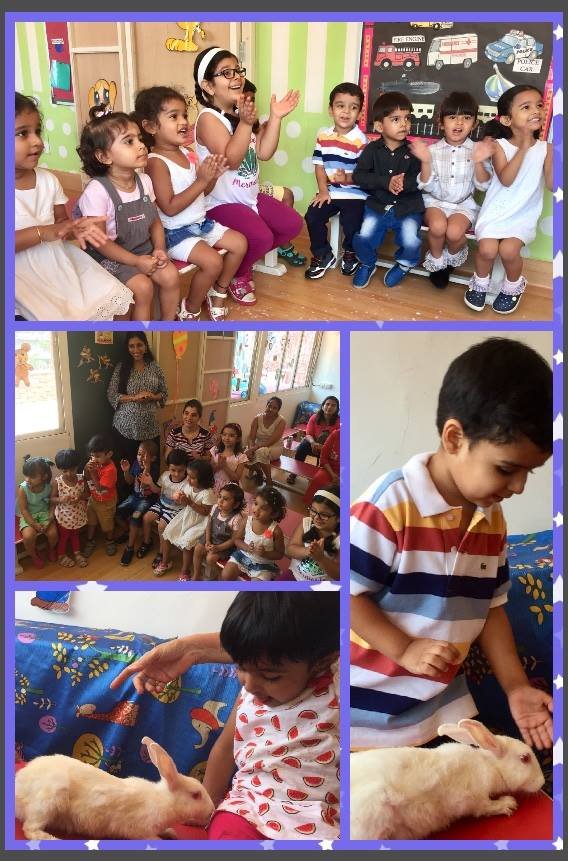 Kiddies Nook - Colaba