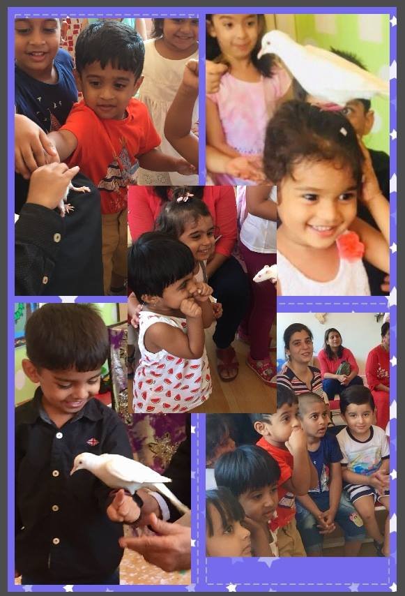 Kiddies Nook - Colaba
