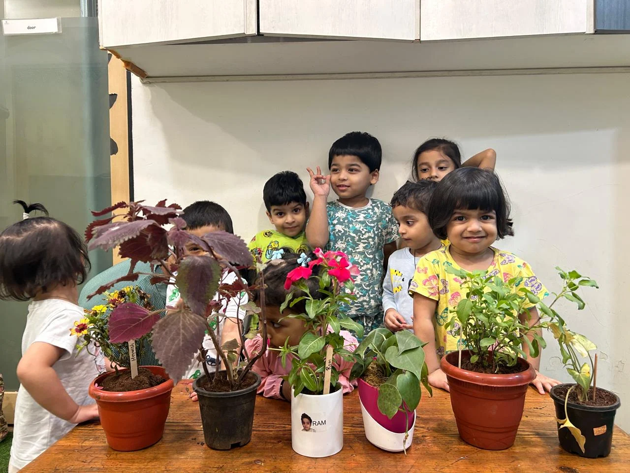 Mindseed Preschool & Daycare - Mahim - Mahim