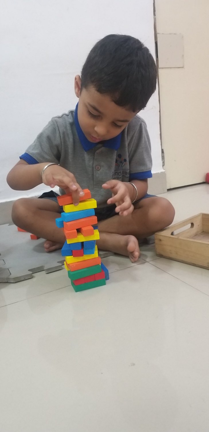 Mindseed Preschool & Daycare - New Panvel 2 - New Panvel East