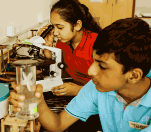Podar International School (IB & Cambridge International) - Santacruz West