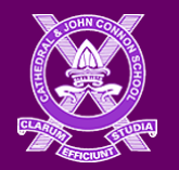 The Cathedral And John Connon School - Fort