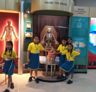 Villa Theresa High School - Tardeo
